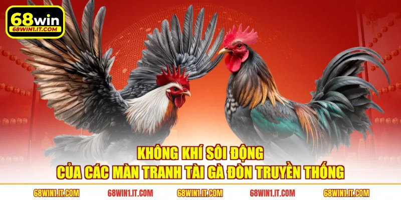 Không khí sôi động của các màn tranh tài gà đòn truyền thống