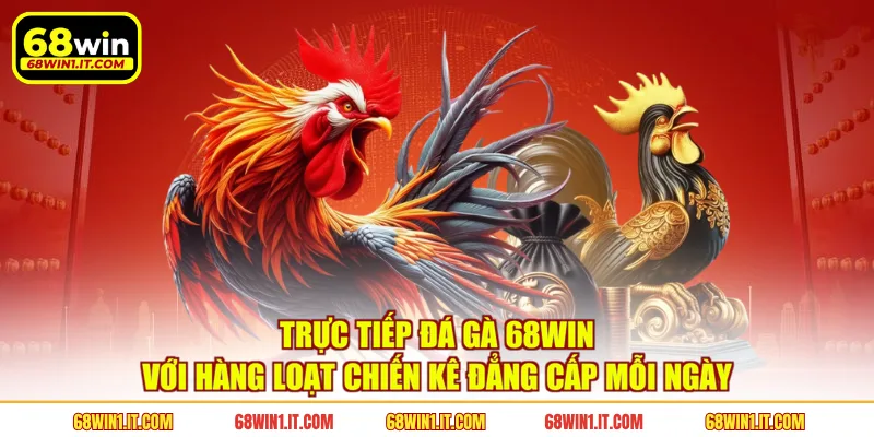 Trực tiếp đá gà 68WIN với hàng loạt chiến kê đẳng cấp mỗi ngày